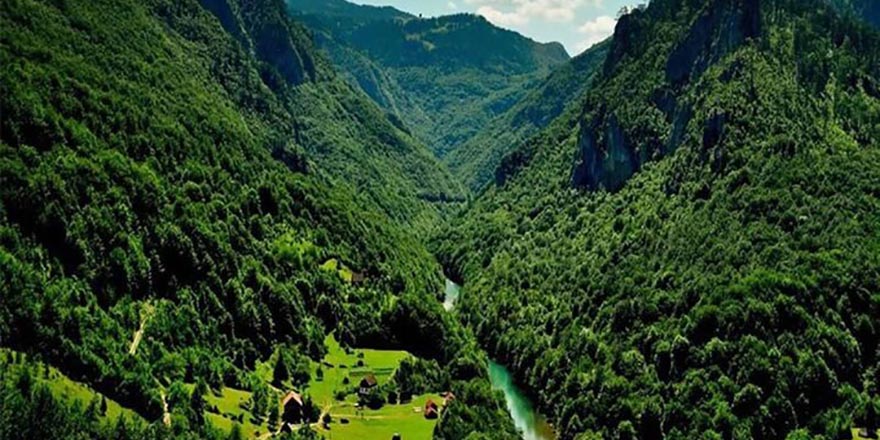 جنگل‌های هیرکانی بخشی از هویت تاریخی و فرهنگی ایران هستند